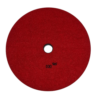 Dongsin Synthetic Metal Disc Ø250mm