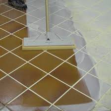Grout Rake Squeegees with Long Adonised Aluminium Poles
